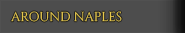 Around Naples
